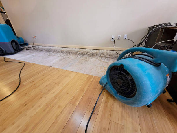 Professional Ceiling Water Damage Repair technician working in Bertram, TX